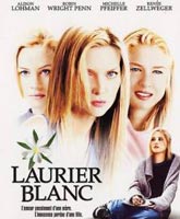 White Oleander /  